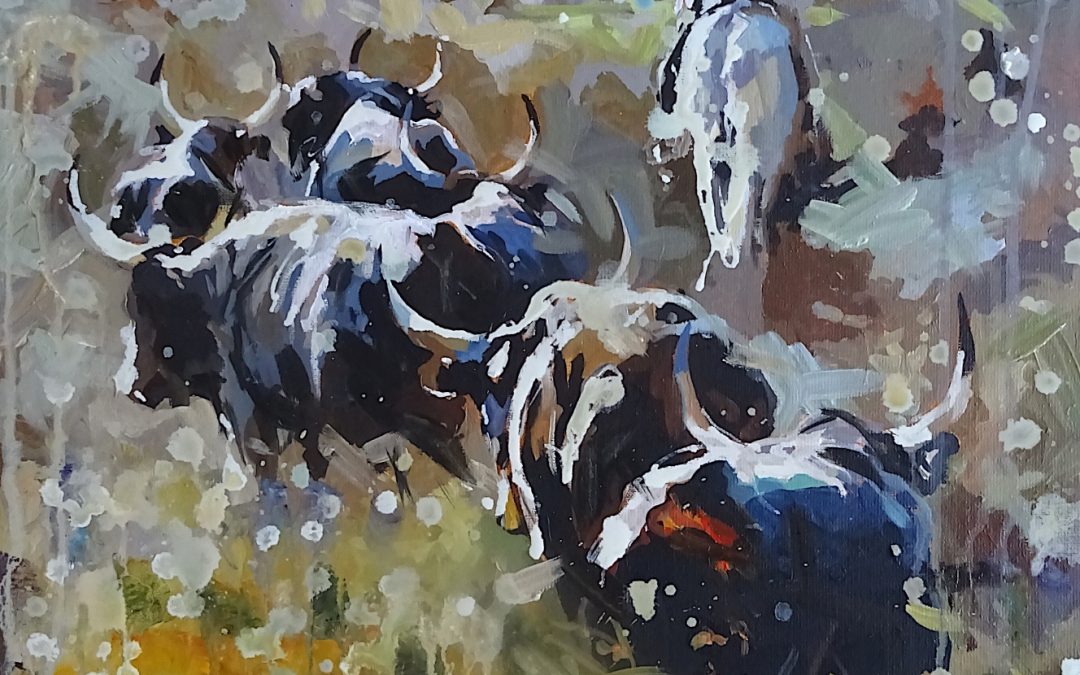 Les taureaux et le Gardian – 2025