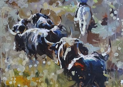 Les taureaux et le Gardian – 2025