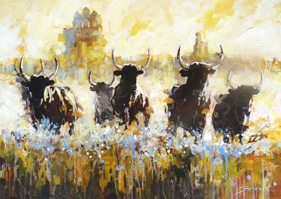 Taureaux camarguais – 2025
