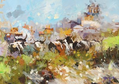 Taureaux aux Saintes Maries de la Mer – 2025