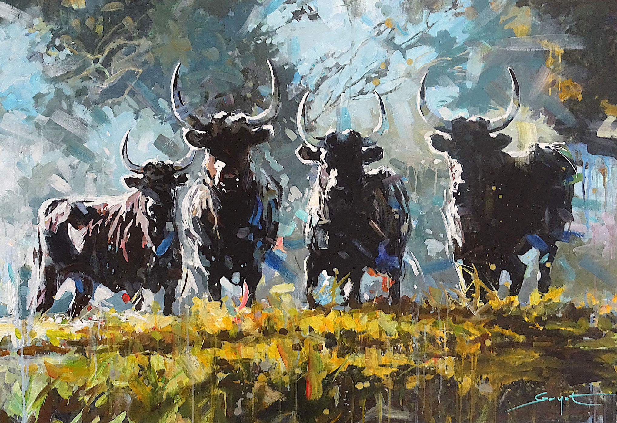 60P2517 80 dpi Les prés des Demoiselles