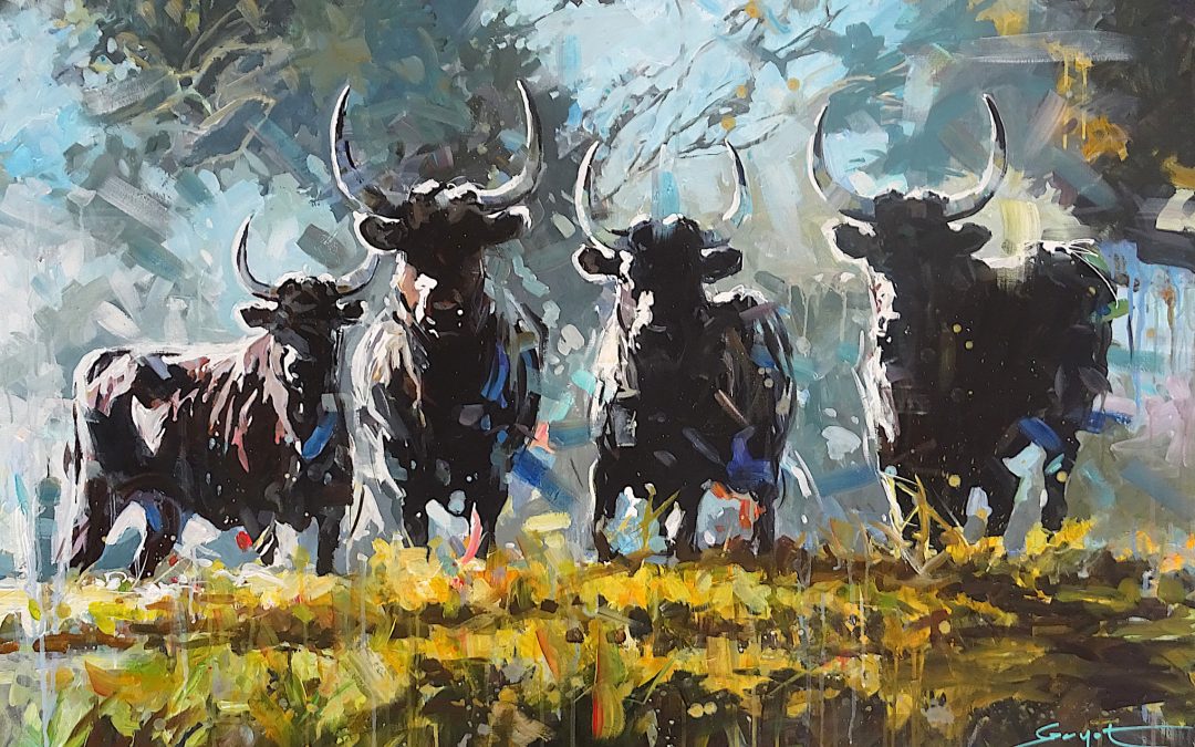 Les taureaux de Camargue – 2025