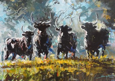 Les taureaux de Camargue – 2025