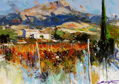 Vignoble au Pic Saint Loup – 2026