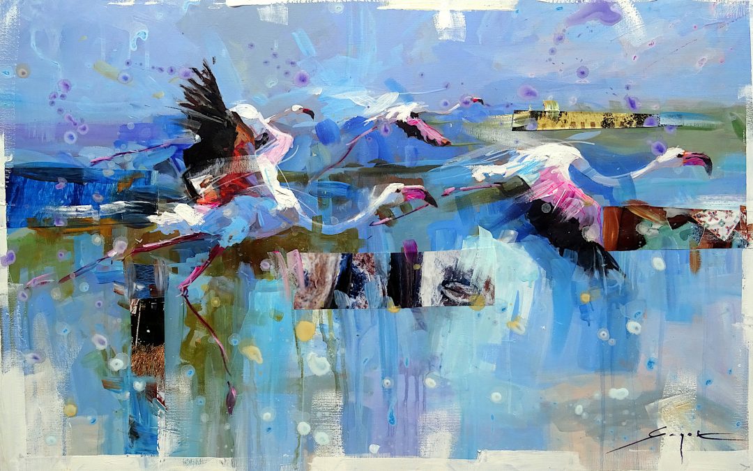 Les flamants roses en Camargue- 2026